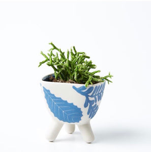 Pocket Planter Silica Footed